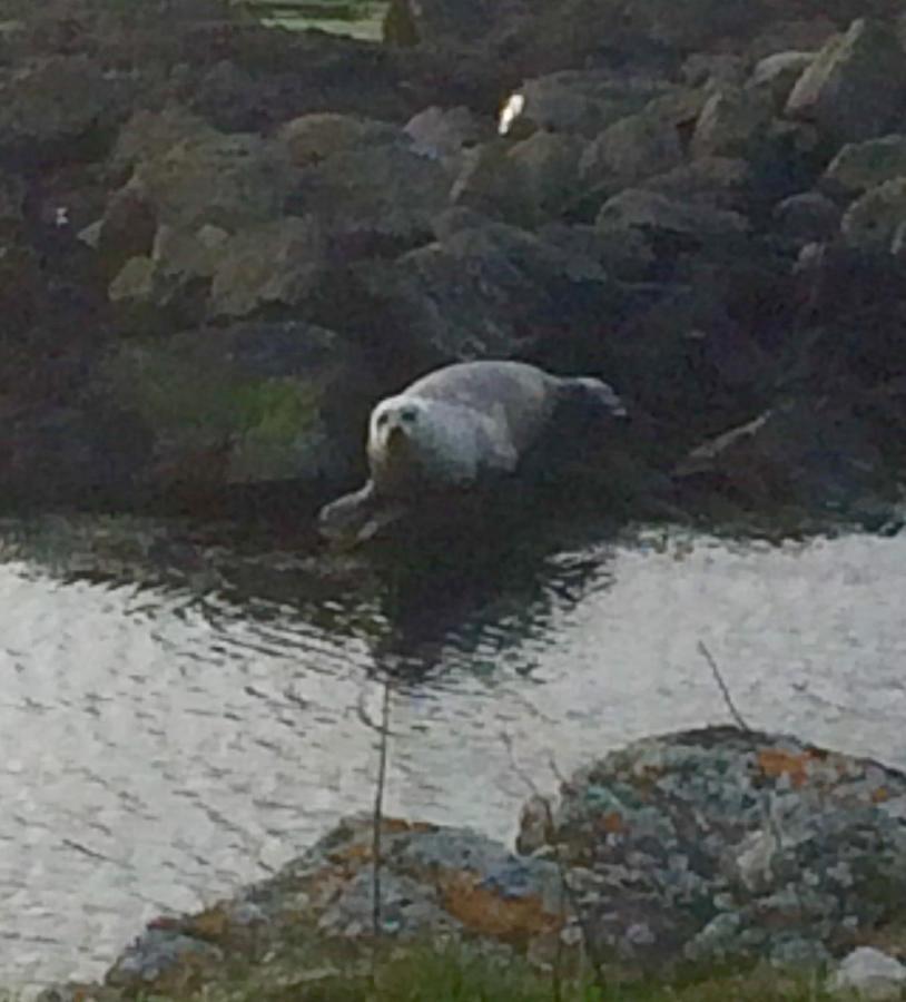Burnside Lodge Portnahaven Bagian luar foto