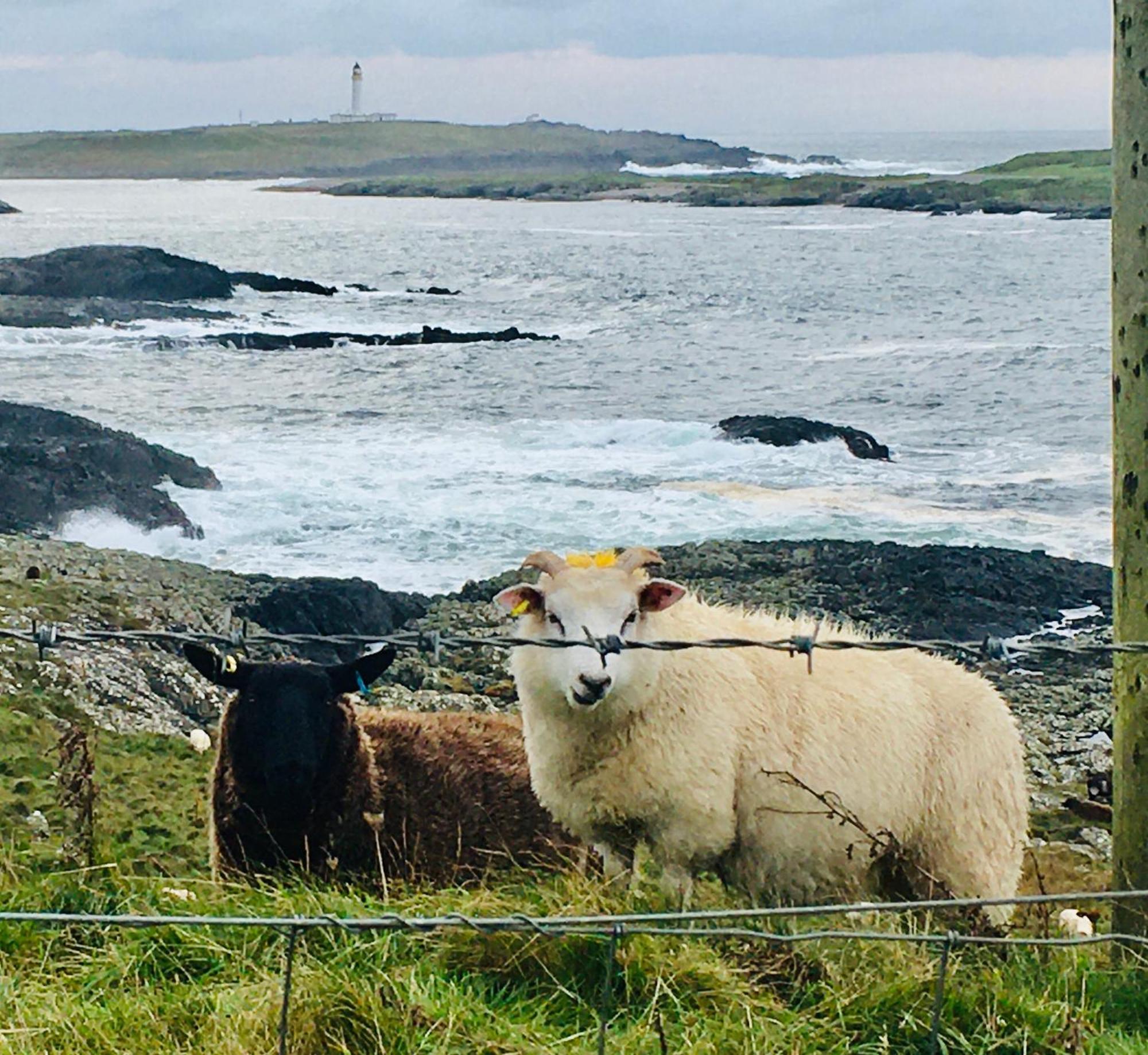 Burnside Lodge Portnahaven Bagian luar foto